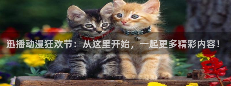 成人动漫天堂av
